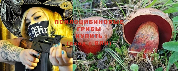 ECSTASY Алзамай
