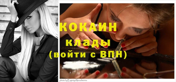 ECSTASY Алзамай