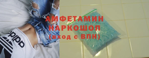 гашик Алексеевка