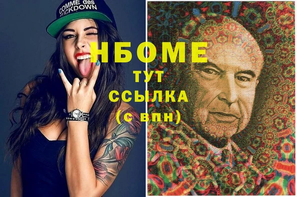 гидра Рославль