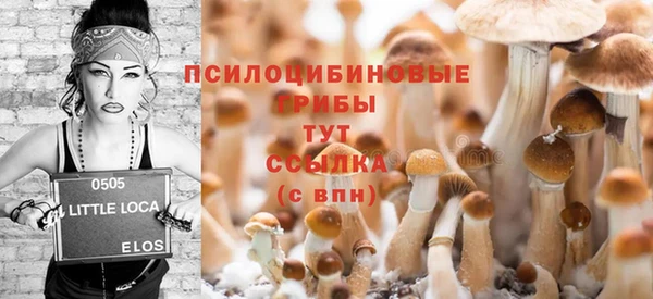 ECSTASY Алзамай