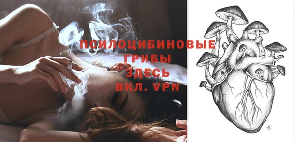 ECSTASY Алзамай